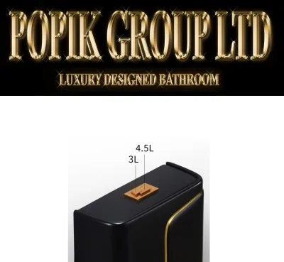 Black LUxury TOilet Design model with Gold line — image 7