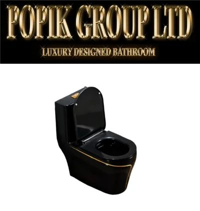 Black LUxury TOilet Design model with Gold line