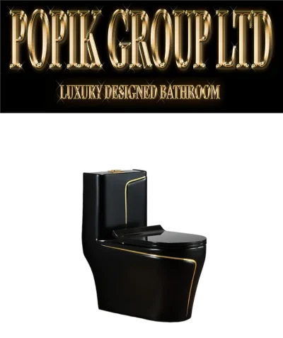 Black LUxury TOilet Design model with Gold line — image 6