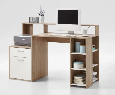 Modern Computer Desk with Storage Shelves, Drawer, and Cupboard