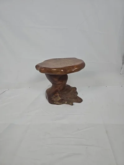 Sculptural Natural Root Wood Side Table – Live Edge / Organic Form – Unique Piece